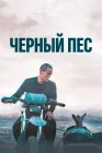  Чёрный пёс смотреть онлайн (2024) 