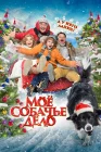  Моё собачье дело смотреть онлайн (2024) 