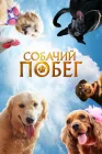  Собачий побег смотреть онлайн (2023) 