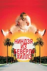  Ниндзя из Беверли Хиллз смотреть онлайн (1997) 